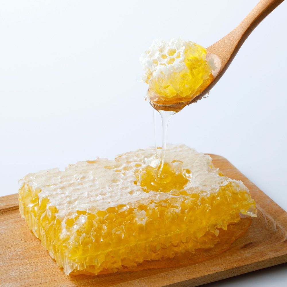 巣蜜｜はちみつ専門店 長坂養蜂場 はちみつ通販・ギフト