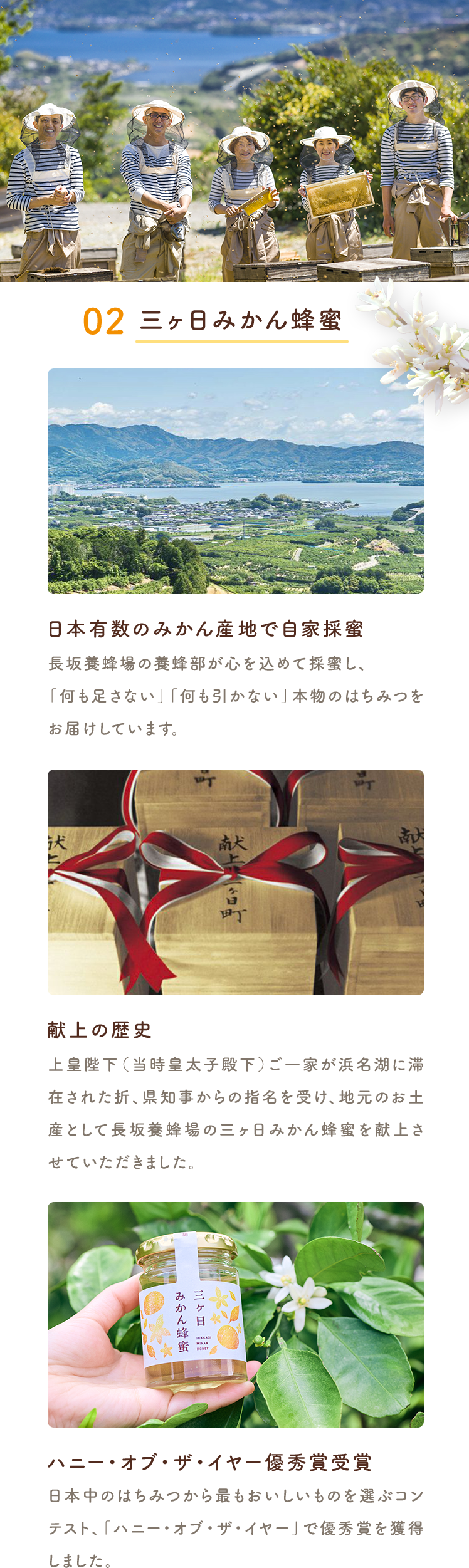 三ヶ日みかん蜂蜜