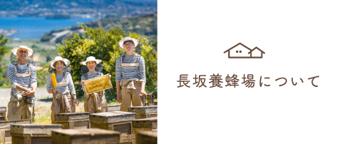 昭和10年創業のはちみつ専門店 長坂養蜂場について