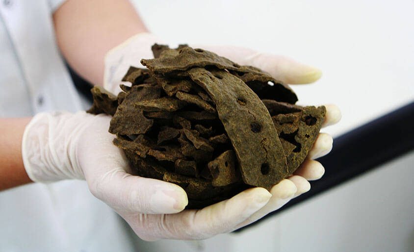 プロポリスについて ミツバチ産品｜はちみつ専門店 長坂養蜂場