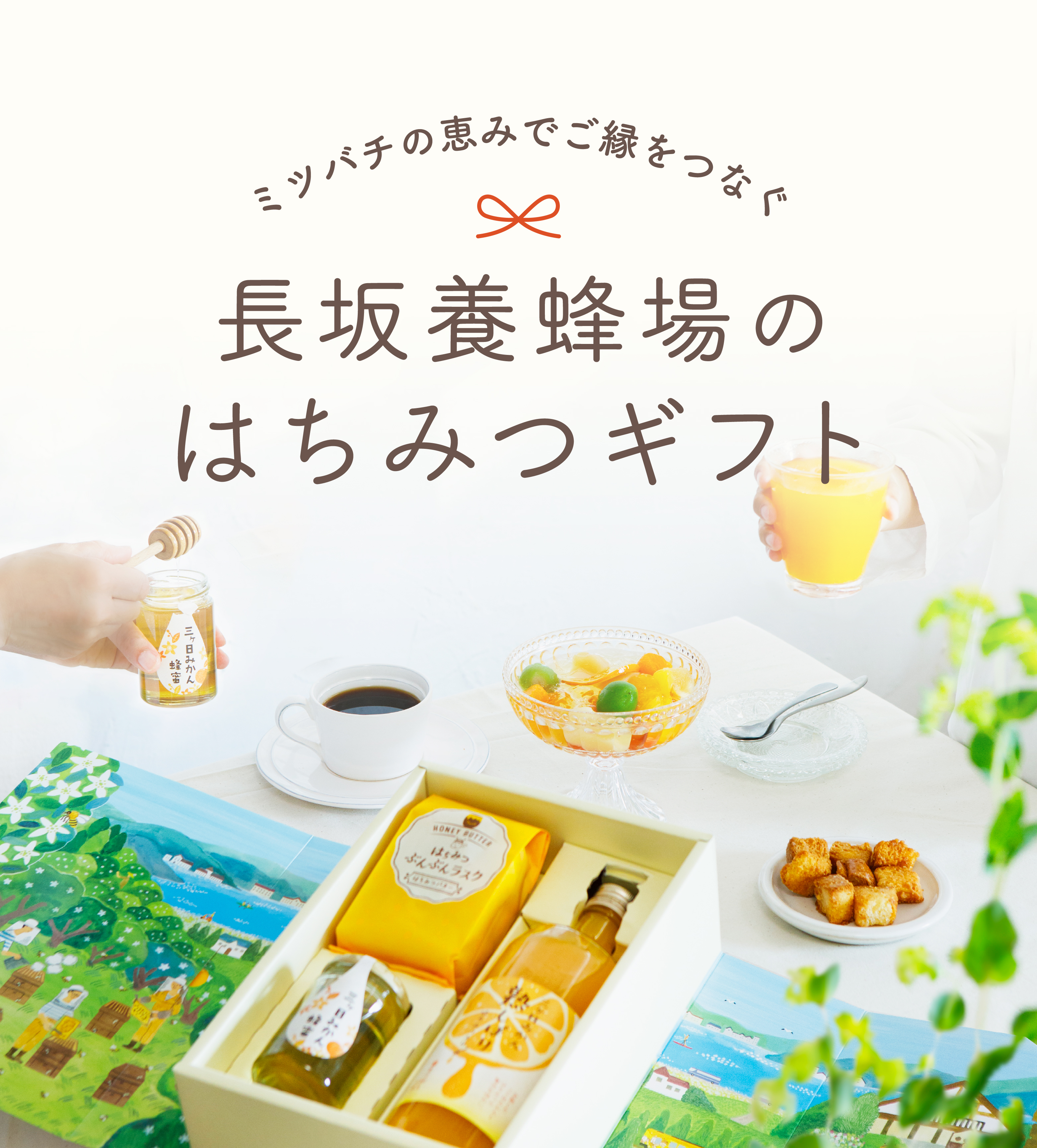 はちみつギフト（法人・個人）の通販｜はちみつ専門店 長坂養蜂場