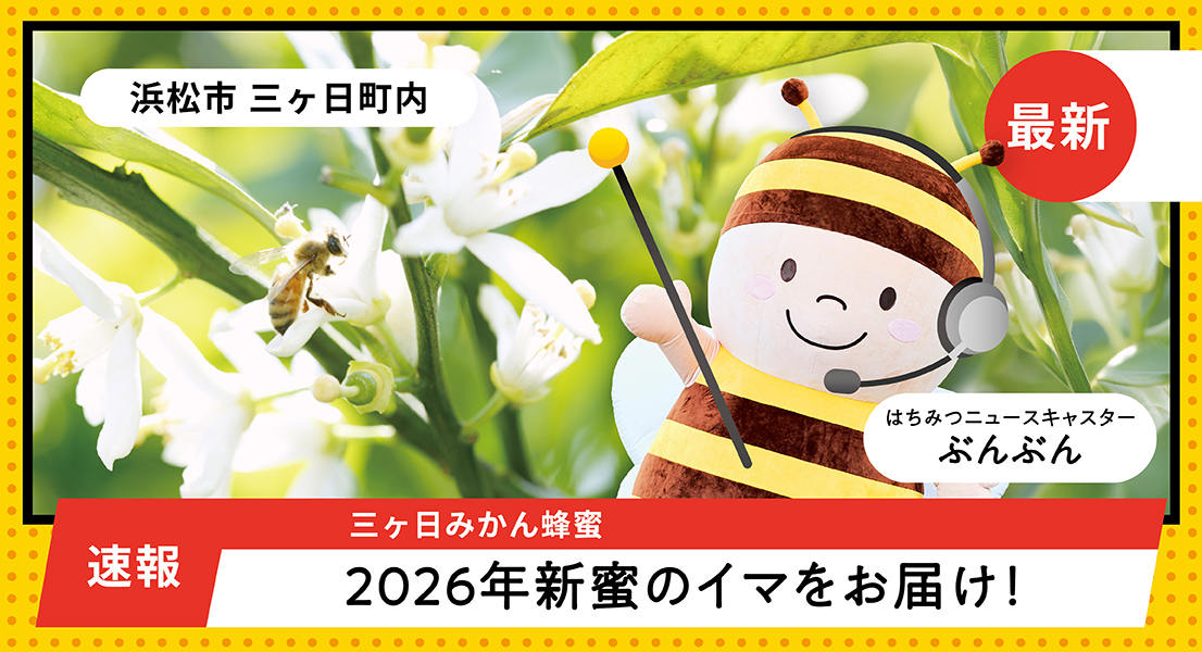 2026年新蜜のイマをお届け！