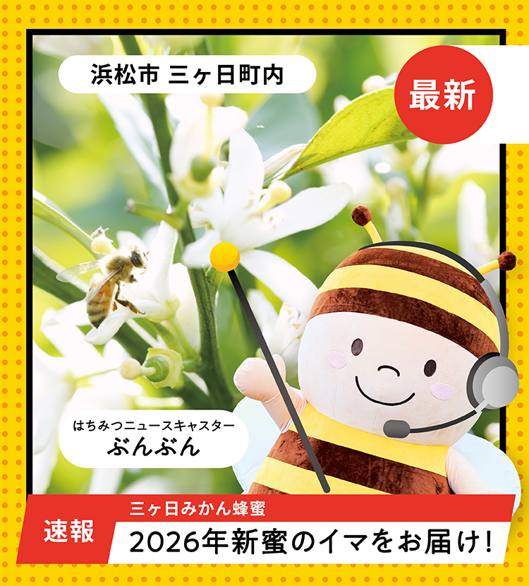 2026年新蜜のイマをお届け！