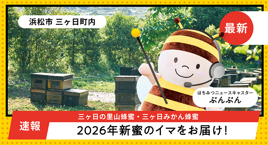 2026年新蜜のイマをお届け！