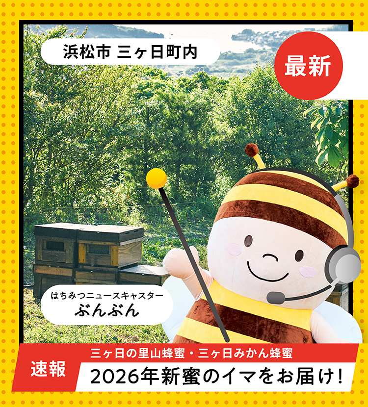 2026年新蜜のイマをお届け！