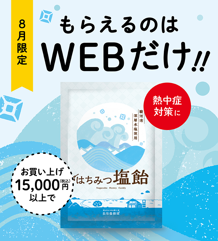 お買い上げプレゼント