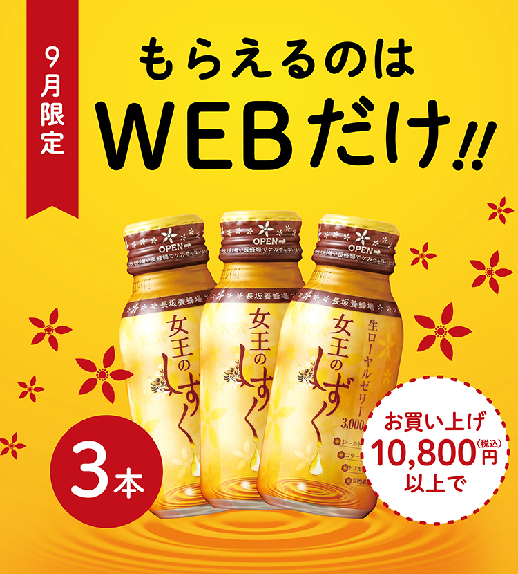 9月のWEB限定オファー
