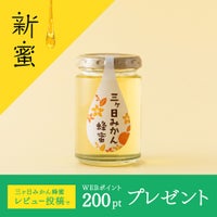 国産三ヶ日みかん蜂蜜 165g