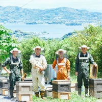 国産三ヶ日の里山蜂蜜 450gボトルタイプ