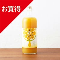 三ヶ日みかん青しぼり