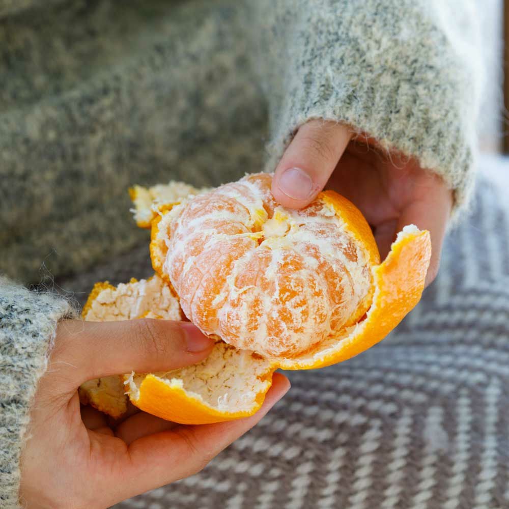 河部農園の極上三ヶ日みかん 早生(S)の通販｜はちみつ専門店 長坂養蜂場