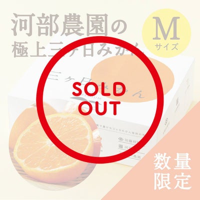 河部農園の極上三ヶ日みかん Mサイズ