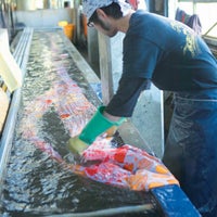 浜松注染そめ手ぬぐい