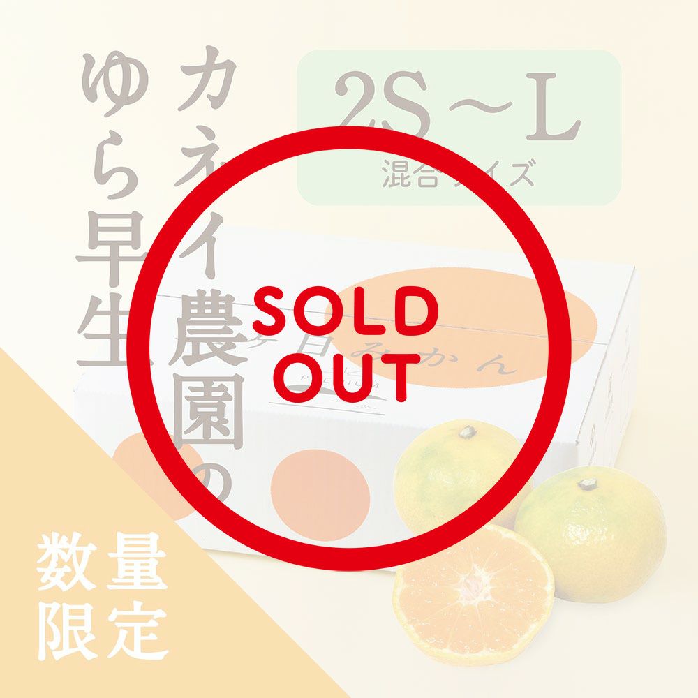 カネイ農園さんの三ヶ日みかん ゆら早生の通販｜はちみつ専門店 長坂養蜂場
