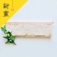 ラグジュアリーコムハニー 三ヶ日みかん巣蜜〔1枚タイプ〕