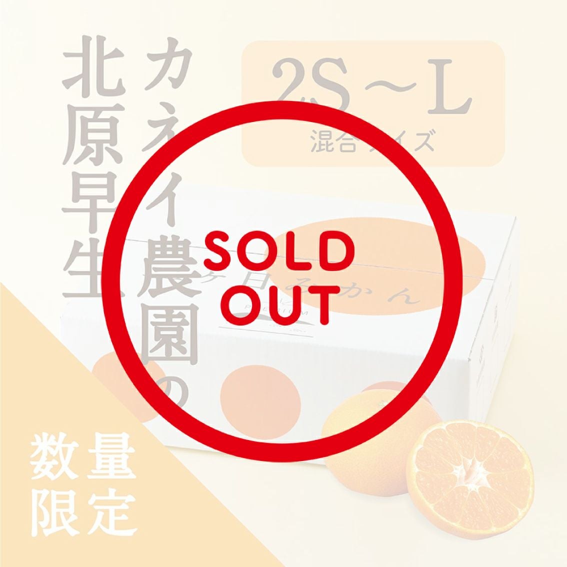 カネイ農園さんの三ヶ日みかん ゆら早生の通販｜はちみつ専門店 長坂養蜂場