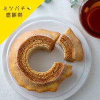 しあわせつなぐミツバチバウム ハードバウムKizuna〔ホール