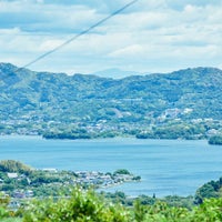 【特別価格】三ヶ日みかんのハニージュレ 3個セット