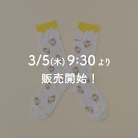 ぶんぶんプリントソックス