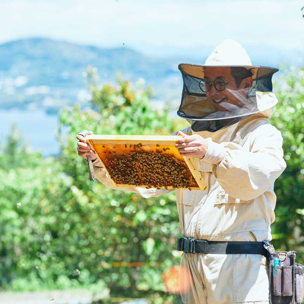 食品 カタムサリさん専用国産みかん蜂蜜2400g