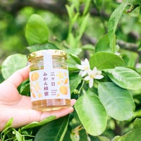 国産三ヶ日みかん蜂蜜 125g