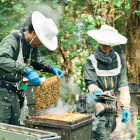 国産三ヶ日の里山蜂蜜 800g