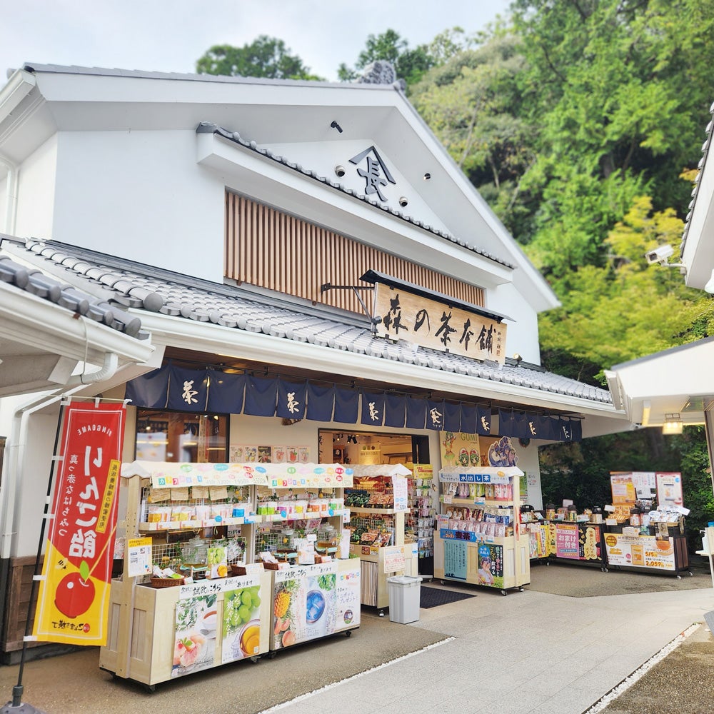 森のやわらぎ