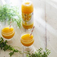 ③夏のおいしさが詰まった豪華ギフト